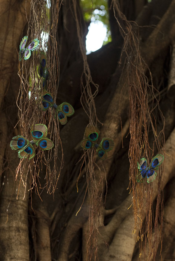 MaryDesign10-borboletasED MaryDesign10-borboletasED