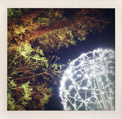 lucas_lenci1 lucas_lenci1