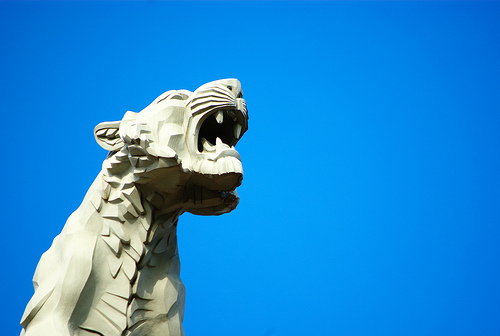 tigre artberri flickr